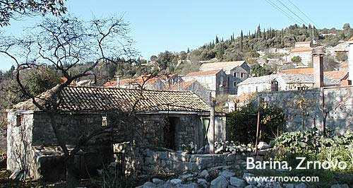 Barina - Zrnovo